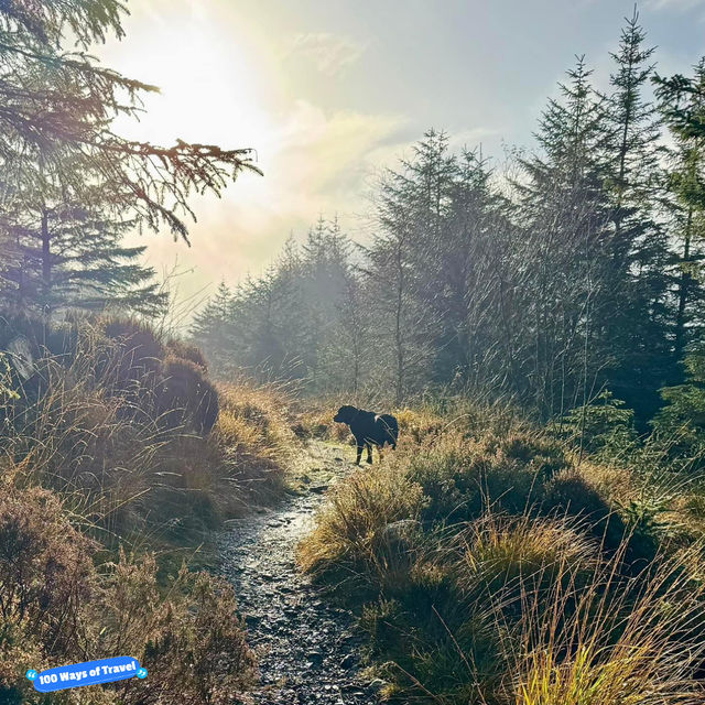 Autumn Hike & Camp: Harter Fell and Green Crag