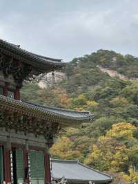 💛 가을을 만끽할 수 있는 🍁 충북 보은군 아름다운 가을 사찰 나들이 명소 🧡