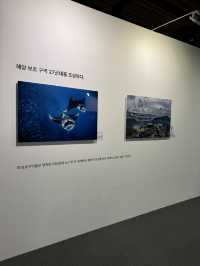 아이들과 함께 즐기기 좋은 체험형 전시 🐋
