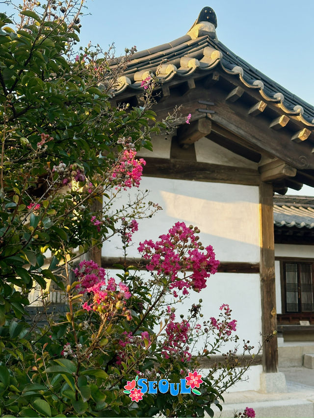 Discovering traditional hanok village with no crowds around 