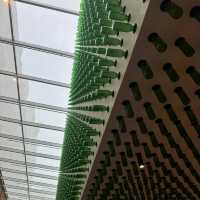 Heineken Experience