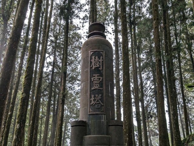 Alishan's Dawn to Dusk Magic