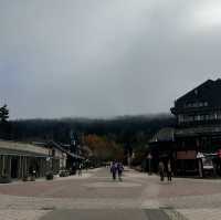 “Exploring Germany’s Black Forest: Nature’s Enchanted Wonderland”