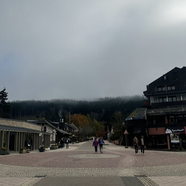 “Exploring Germany’s Black Forest: Nature’s Enchanted Wonderland”