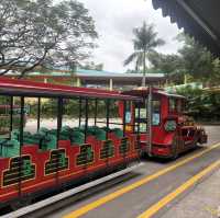 Wild Encounters: A Day at Guangzhou Safari Park