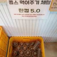 넓게 펼쳐진 산과 자연을 한눈에 감상할 수 있는