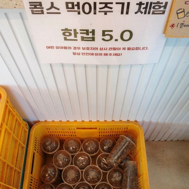 넓게 펼쳐진 산과 자연을 한눈에 감상할 수 있는
