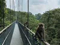 Hidden Gem: Windsor Nature Park