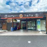 【宇目】祖母傾ユネスコエコパーク登録決定！景色抜群道の駅✨