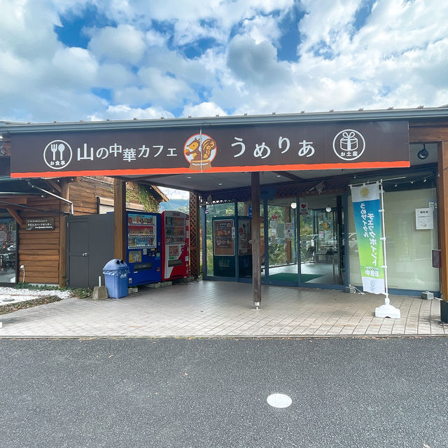 【宇目】祖母傾ユネスコエコパーク登録決定！景色抜群道の駅✨