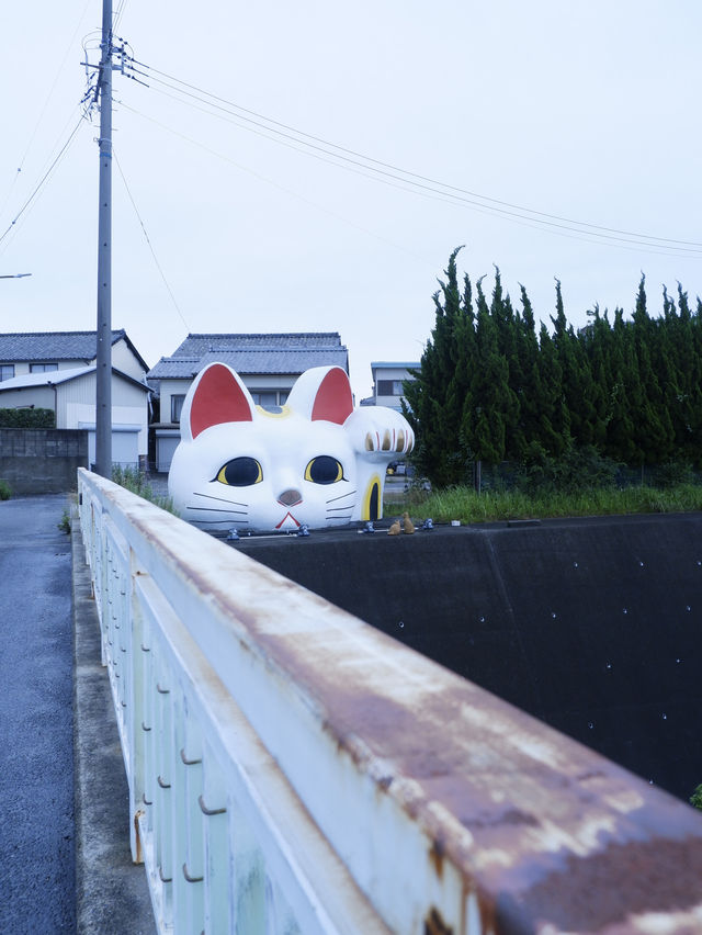 名古屋機場景點：走訪最大招財貓 