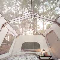 Planning a Camping Adventure in Taman Negara National Park