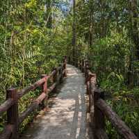 Emerald Pool in Krabi