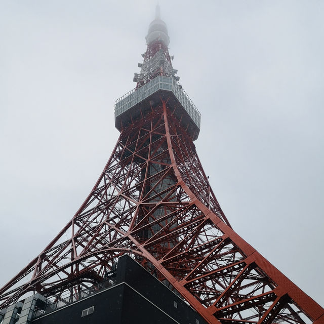 Sky-High Thrills and Picture-Perfect Moments at Tokyo Tower!