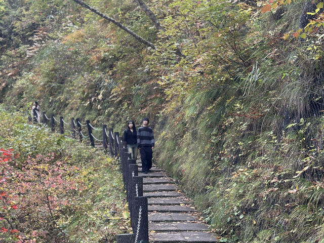 ใบไม้เปลี่ยนสีที่ Naruko Gorge 