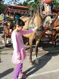 MINANGKABAU HERITAGE, A VISIT TO BUKITTINGGI, PADANG, SUMATERA