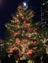【六本木🇯🇵】東京ミッドタウンイルミネーション🎄