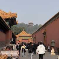 A Walk Through Imperial Majesty: The Palace Museum Experience
