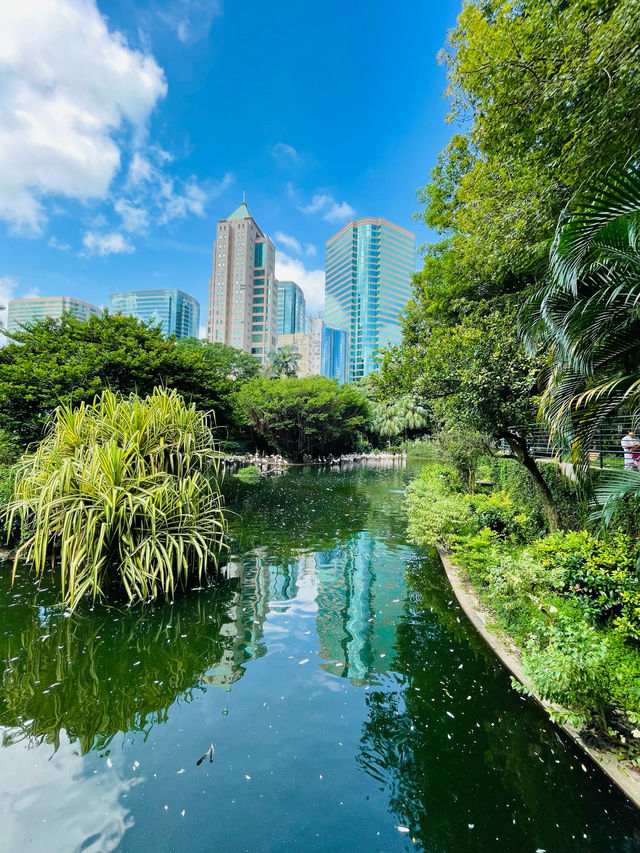 香港観光🇭🇰都会のオアシス🌿 九龍公園🦩✨