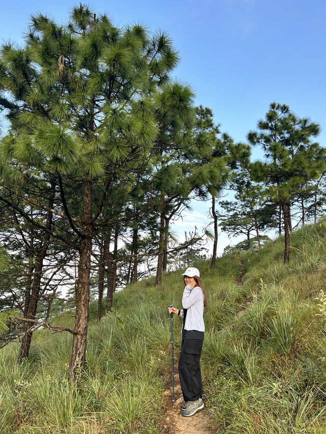 สนเดียวดาย แลนด์มาร์คบนดอยหลวงตาก⛰️
