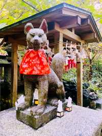 【神奈川県/鎌倉　白狐の置物がたくさん並ぶ神秘的な場所『佐助稲荷神社』】