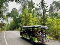 Experiencing Semenggoh Wildlife Centre