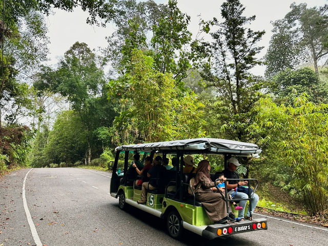 Experiencing Semenggoh Wildlife Centre