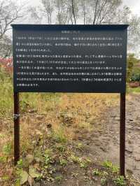 【湯布院】湯布院といえばココ✨神秘的な湖✨