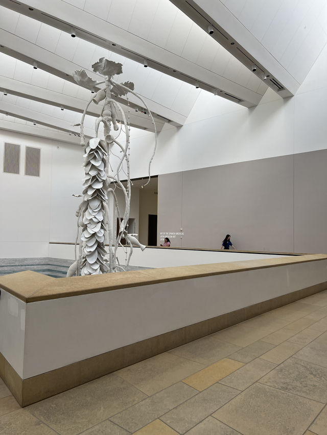 ［奧斯汀旅遊］Blanton Museum of Art-探索藝術瑰寶🌷