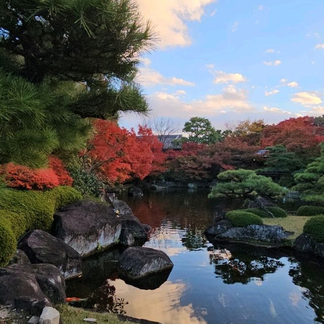 姬路城西御屋敷跡庭園〔好古園〕紅葉絕景  