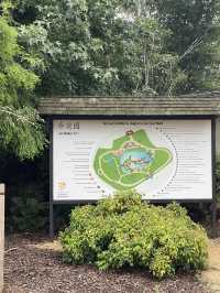 癒しのひととき：Toowoomba日本庭園散策