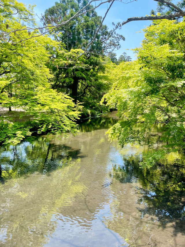 🇯🇵유후인 여행 필수명소 고즈넉한 긴린호수 산책하기🍀🍀