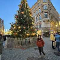 Christmas Market in Malmo, Sweden