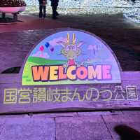 🇯🇵【香川県】国営さぬきまんのう公園！イルミネーション
