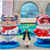 ถนน Shopping สุดโรแมนติก @ ถนนจงหยาง เมือง Harbin