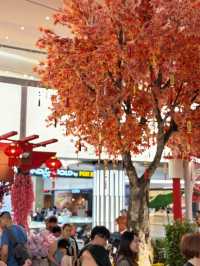 Chinese New Year is coming after the Christmas 🧧🎍