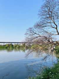 ［桃園旅遊］桃園埤塘1-16號池💧桃園小秘境