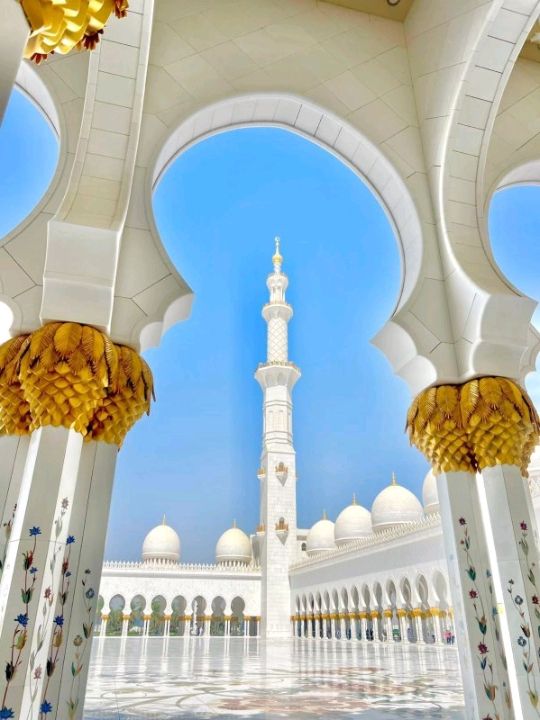An awesome visit to this beautiful mosque sheikh zayed 💜