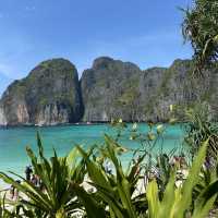 ฮีลใจที่ภูเก็ต🌊🪼