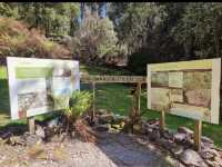 Tasmanian Arboretum
