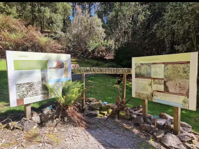 Tasmanian Arboretum