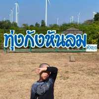 ทุ่งกังหันลม อ.สีคิ้ว ทางผ่านที่อยากจอด