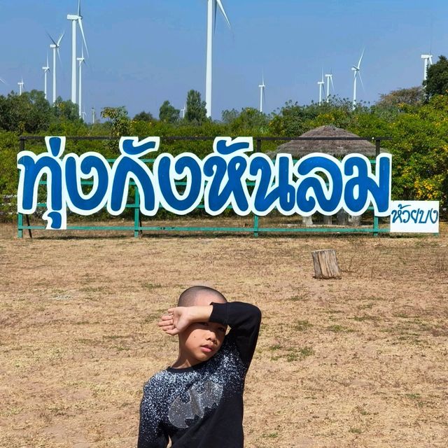 ทุ่งกังหันลม อ.สีคิ้ว ทางผ่านที่อยากจอด