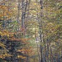 Pyrenees National Park
