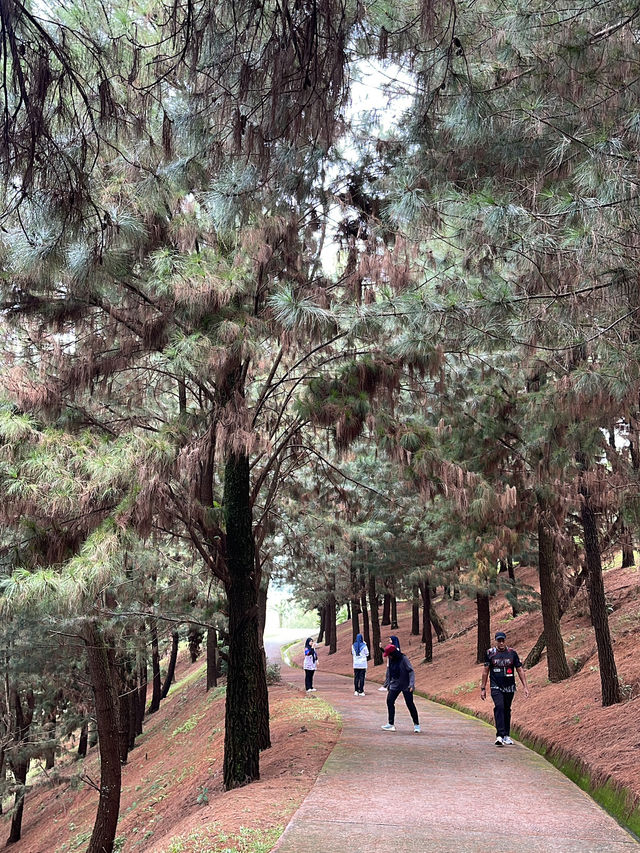 Taman Saujana Hijau: A Tranquil Escape Amidst Nature’s Beauty 🌳🌺