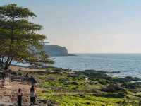 หาดนิรนาม กับวิวงามๆ ที่แหลมบาลีฮาย #ชลบุรี