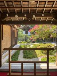 【百日紅咲く青岸寺】