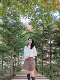 의정부 단풍 즐기기 좋은 파크프리베 카페