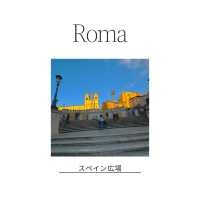 🇮🇹ローマに来たら絶対行きたい！トレビの泉⛲️✨