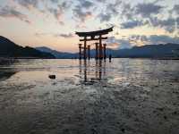 Miyajima Trip Highlights